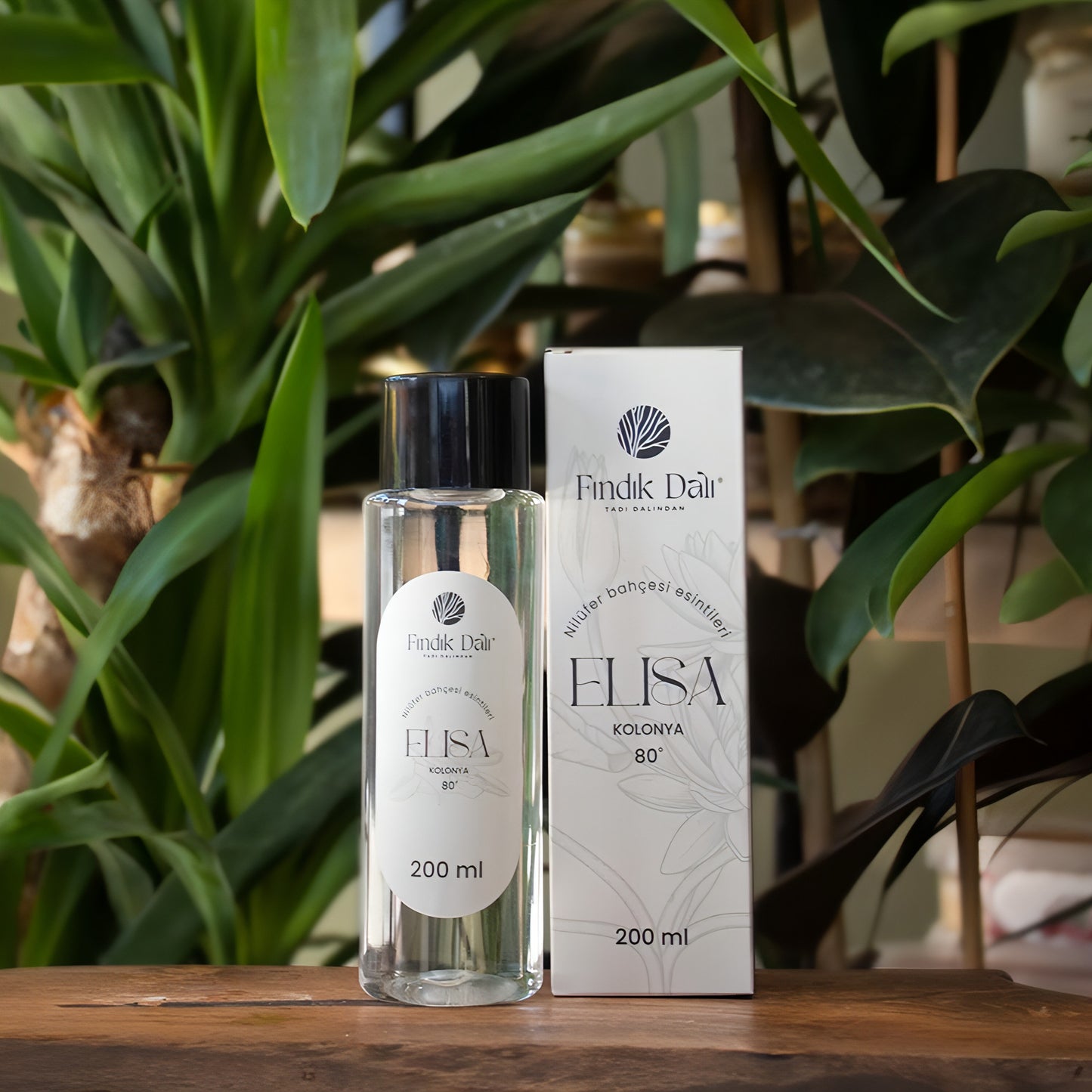 Nilüfer Esintili Kolonya '' ELISA ''